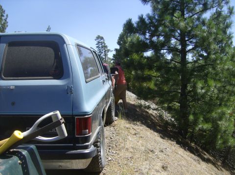 1986 Ford Bronco - The rear of a light blue SUV is parked on a dirt road next to a pine tree. A person in an orange shirt and tan shorts is visible near the d…