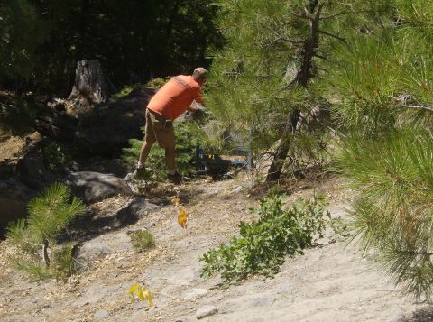1986 Ford Bronco - A person in an orange shirt and khaki shorts is bending over near some pine trees and rocks, possibly working on something out of view.