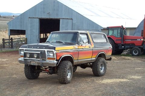 1979 Ford Bronco photo