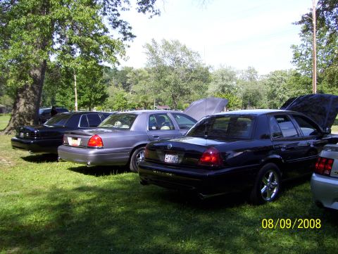 2008 Ford Crown Victoria - Multiple Ford Crown Victorias are parked on a grassy area with trees in the background.