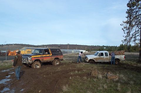 1979 Ford Bronco photo