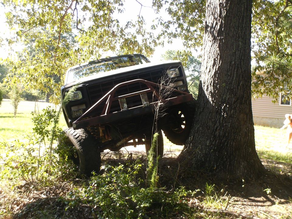 Lifted dark Ford Bronco climbing a tree trunk on large off-road tires in a yard