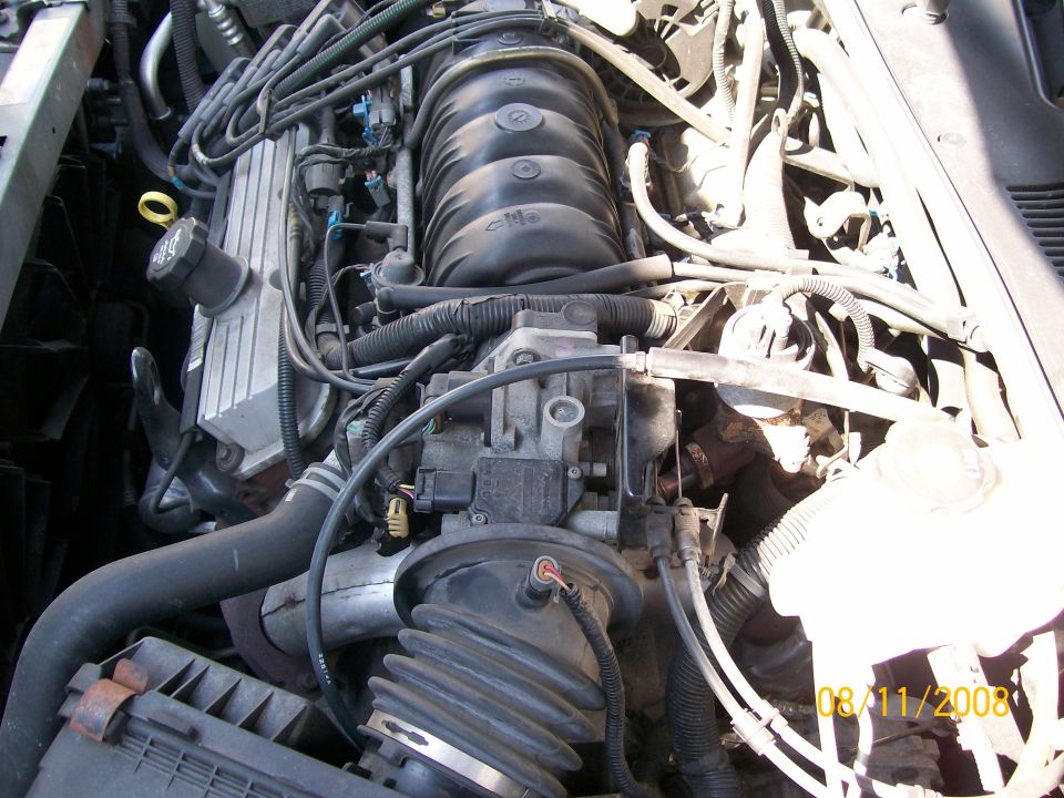Engine bay with visible hoses and components. Date stamp 08/11/2008