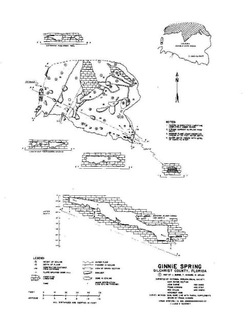 2001 Ford F-150 - This document is a geological survey map of Ginnie Spring, Florida, detailing its cave system and geological features.
