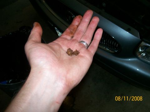 1995 Mercury Grand Marquis - A hand holds debris in front of a car's grille, with a date stamp of 08/11/2008.