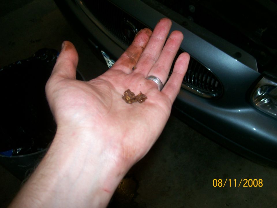 Hand holding brown debris in front of a dark gray car grille