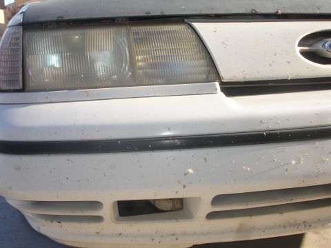 1990 Ford Taurus