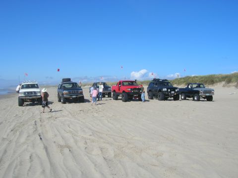 1996 Ford Bronco - A line of modified off-road trucks and SUVs are parked on a sandy beach under a clear blue sky. Several people are standing around the vehi…