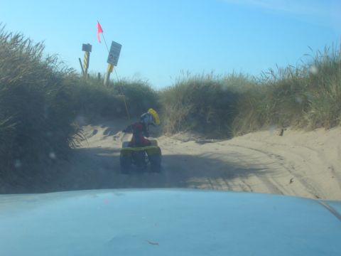 1996 Ford Bronco - A person wearing a helmet and red and yellow gear rides an ATV on a sandy track between dunes and tall grass. A speed limit sign is visible…