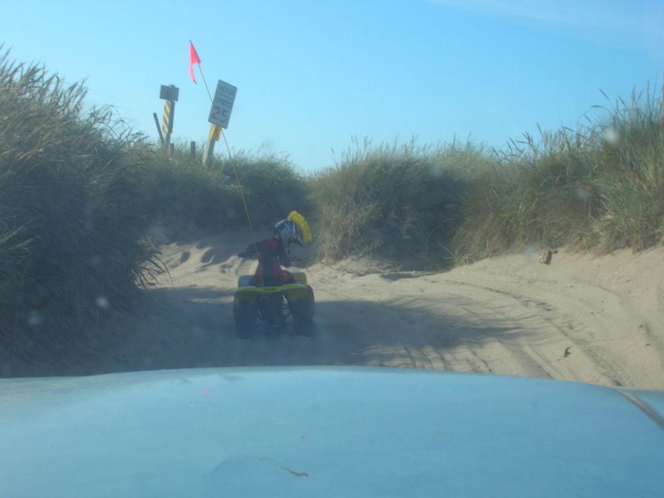 ATV rider on a sandy track with dune grass and a speed limit sign.