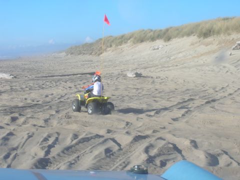 1996 Ford Bronco - A child wearing a helmet rides a yellow ATV with a red flag on a sandy beach with dunes in the background.