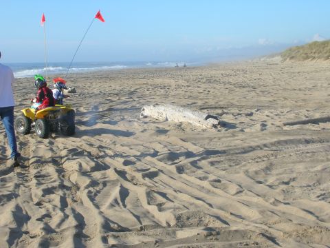 1996 Ford Bronco - Two children in protective gear ride a yellow ATV on a sandy beach, with red flags attached to poles on the back. A person in a white shirt…