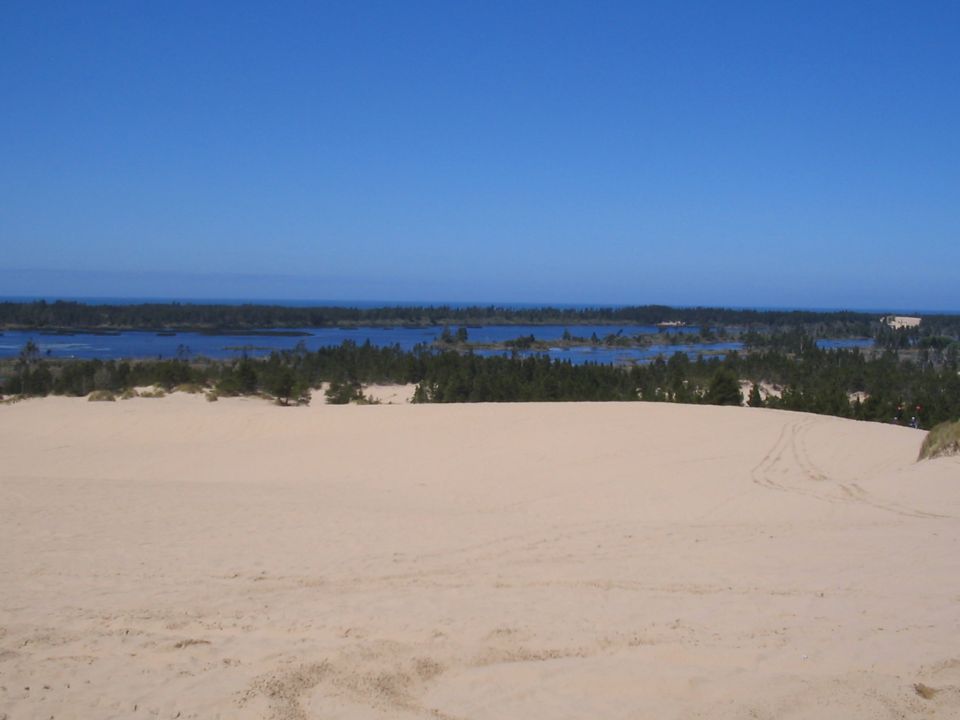 Sand dunes leading to a lake with trees and a clear blue sky.