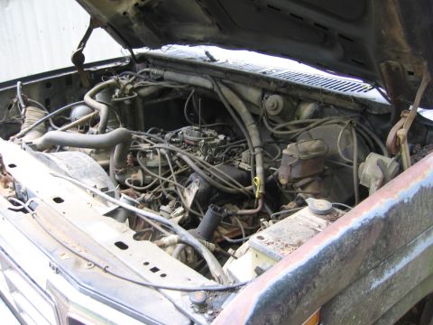 1994 Ford Bronco photo