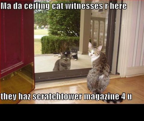 1988 Mercury Grand Marquis - Cats are gathered outside a glass door, with text overlays describing their actions.