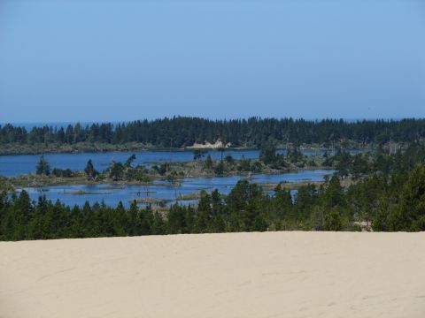 1996 Ford Bronco - Landscape photo showing a dune, water, and trees.