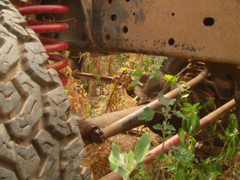 1992 Ford Bronco - This image shows the undercarriage of a vehicle, focusing on the suspension and tire, surrounded by overgrown plants.