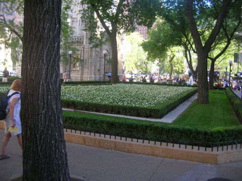 1996 Ford Bronco - A woman walks past a large tree in a city park with a central flower bed and a stone building in the background.