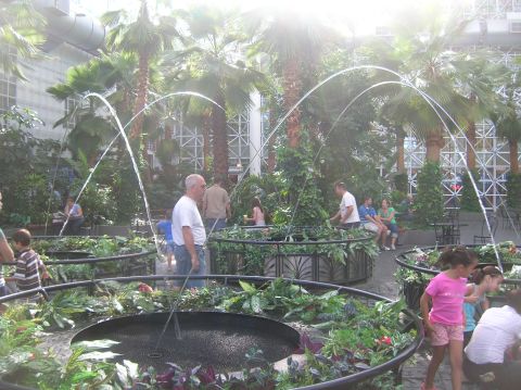 1996 Ford Bronco - People enjoy a sunny day in an indoor botanical garden with lush greenery and water features.