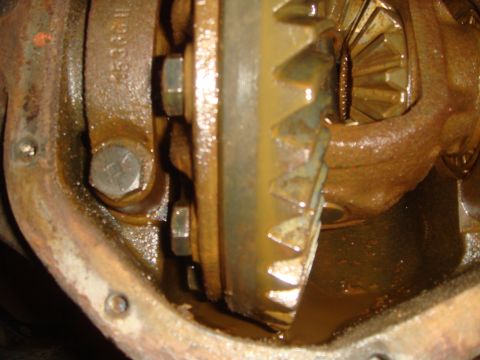 1992 Ford Bronco - The internal gears of a differential are visible, covered in oil and showing signs of rust.