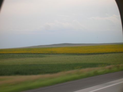 1996 Ford Bronco - A scenic drive through countryside fields, captured from a moving vehicle.