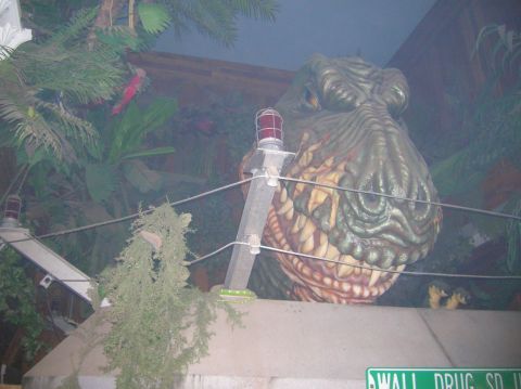 1996 Ford Bronco - A close-up of a dinosaur animatronic, likely part of an attraction, with a warning light nearby.
