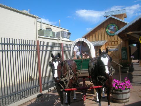 1996 Ford Bronco - A horse-drawn wagon carrying passengers is parked outside a building.