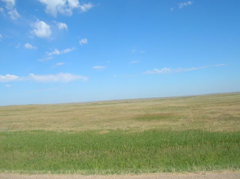 1996 Ford Bronco - A wide view of a grassy plain under a clear blue sky with a few clouds.