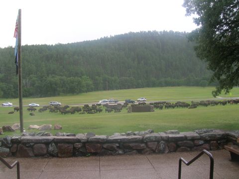 1996 Ford Bronco - A large herd of bison are seen grazing in a grassy field with cars driving on a nearby road.