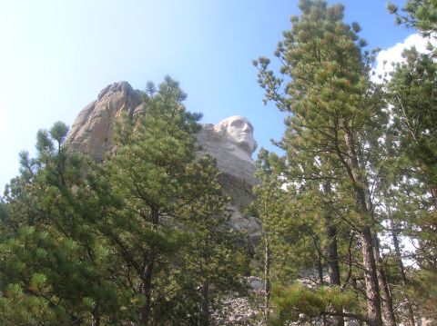 1996 Ford Bronco - The presidential sculptures of Mount Rushmore are partially obscured by pine trees under a blue sky.