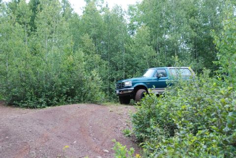 1996 Ford Bronco - A green SUV is parked on a dirt path with dense foliage on all sides.