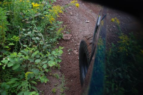 1996 Ford Bronco - A 1996 Ford Bronco drives along a dirt path bordered by green foliage and yellow wildflowers.
