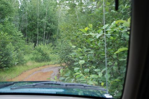 1996 Ford Bronco - Driving down a wet, muddy road surrounded by thick forest foliage.