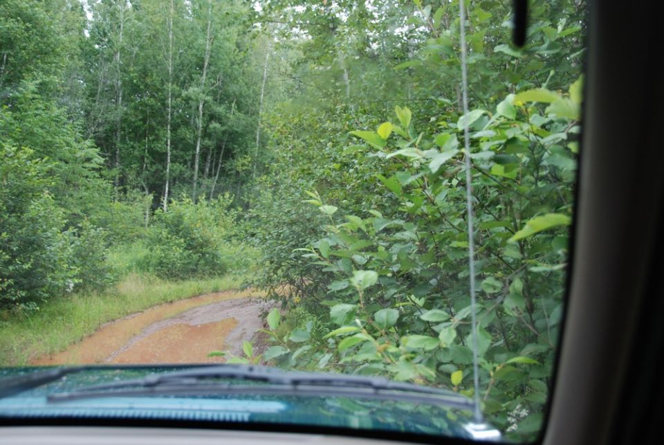 View from inside a vehicle looking out at a muddy dirt road winding through dense green woods