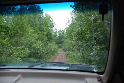1996 Ford Bronco - Driving through a wooded area on a dirt road, seen from inside the vehicle.