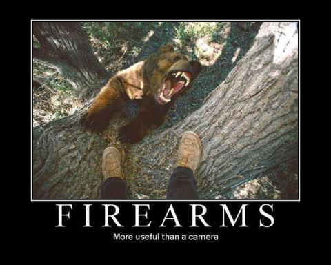 1988 Mercury Grand Marquis - A bear lunges from a tree, captured from the perspective of the person filming.