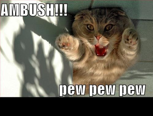 Cat with paws up, mouth open, text AMBUSH!!! and pew pew pew