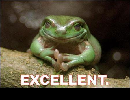 2000 Mercury Grand Marquis - A frog sits on a log with the word 'EXCELLENT.' displayed below it.
