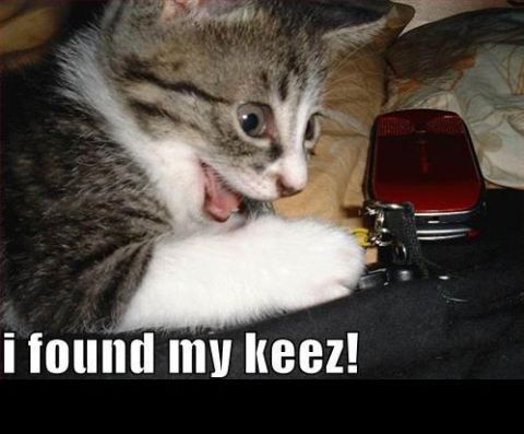 2000 Mercury Grand Marquis - A kitten excitedly looks at a set of keys, with text overlay and a website logo at the bottom.
