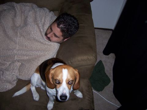 1991 Ford Bronco - A beagle sits on a couch next to a man covered by a blanket.
