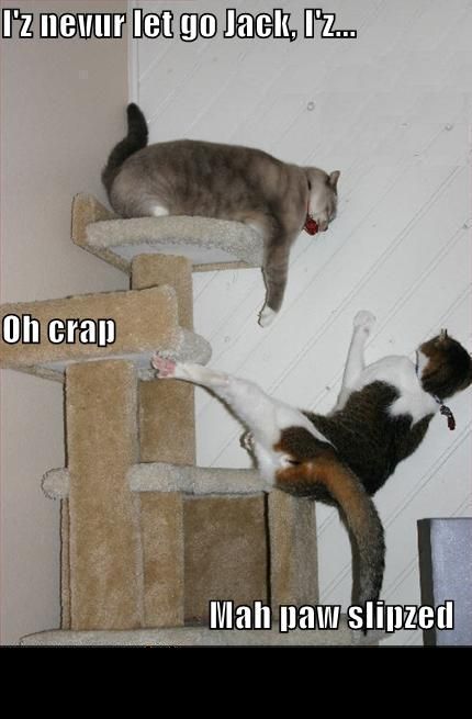 1988 Mercury Grand Marquis - Cats are having a rough time on the cat tree.