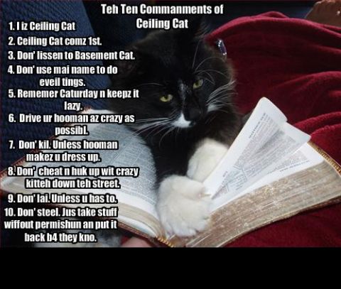 1988 Mercury Grand Marquis - A cat reads the 'Ten Commanments of Ceiling Cat' from an open book.