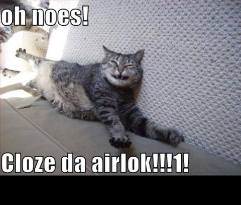 1988 Mercury Grand Marquis - A cat appears to be in distress with text that reads 'oh noes!' and 'Cloze da airlok!!!1!'.