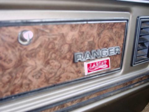 1979 Ford F-150 - 03