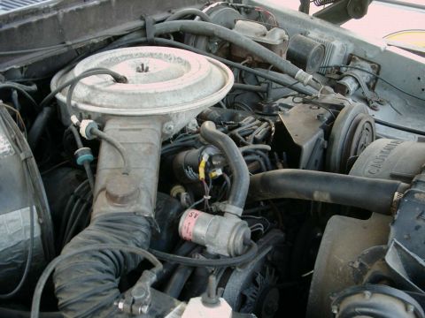 1979 Ford F-150 - Close-up view of an engine bay, showing various mechanical parts and hoses.