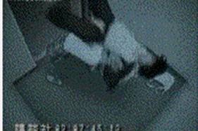 1990 Ford Bronco - A cat rests on a surface, with a timestamp visible in the lower portion of the image.