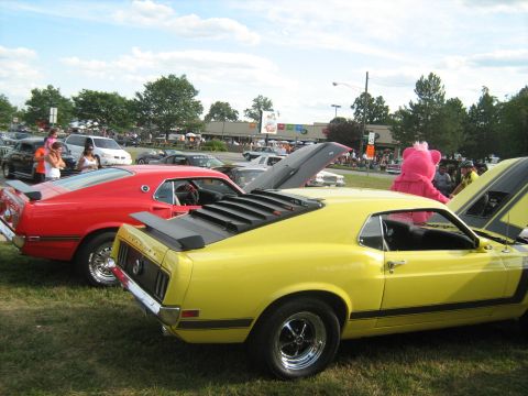 1988 Mercury Grand Marquis - Two classic Mustangs are displayed at an outdoor event, with a person in a mascot costume nearby.