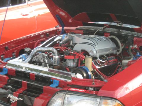 1988 Mercury Grand Marquis - Close-up of a modified red engine bay, a prominent silver intake and chrome details, with a Mustang emblem on the front.