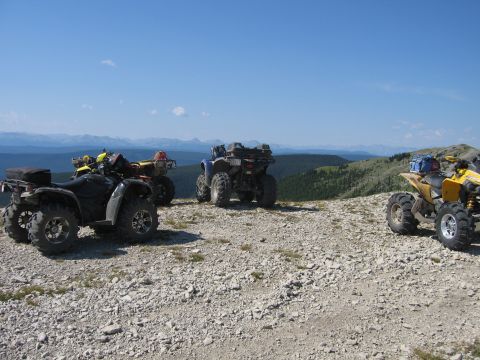 2008 Honda RANCHER