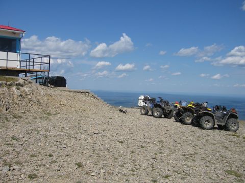 2008 Honda RANCHER